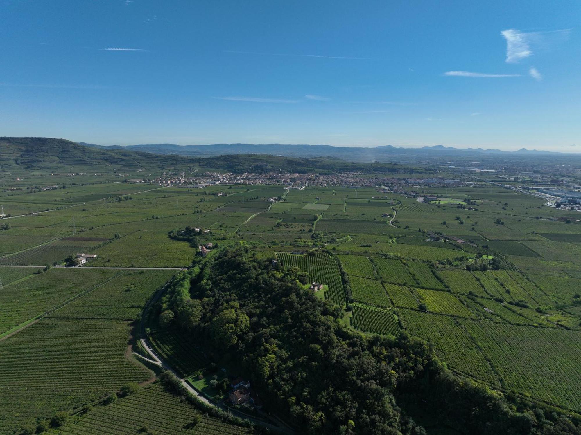Agriturismo Monte Bisson Соаве Екстериор снимка
