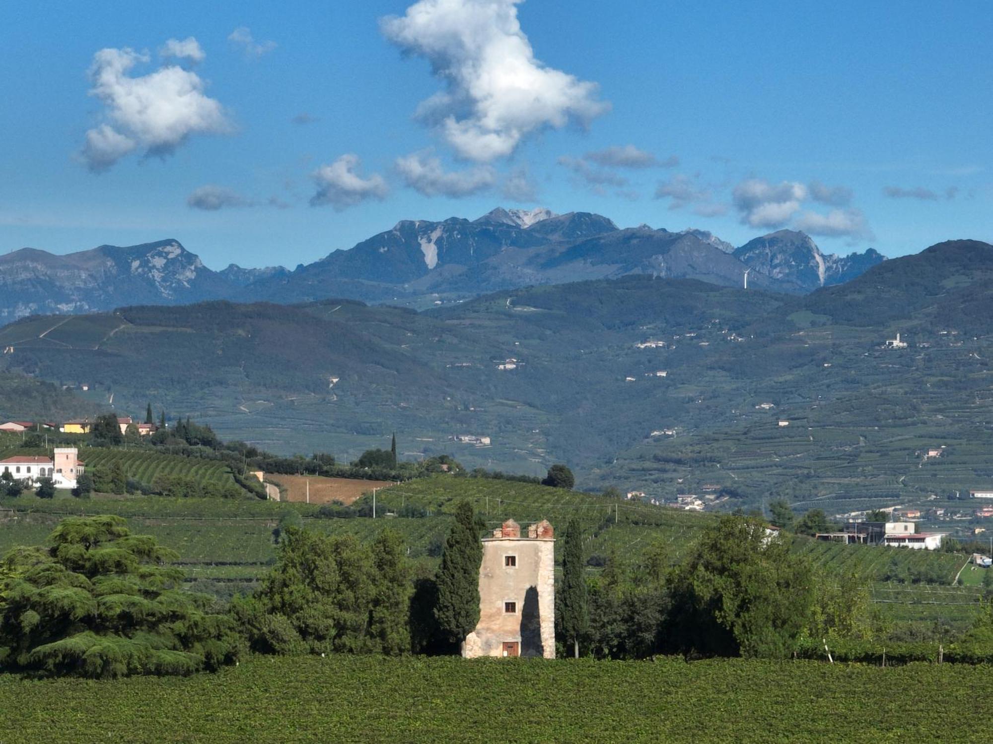 Agriturismo Monte Bisson Соаве Екстериор снимка